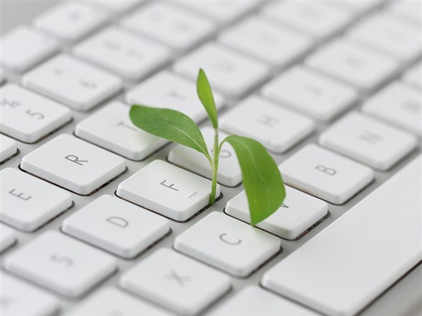 La sostenibilità digitale e il suo impatto sul web